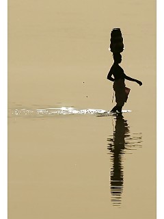 Shocking Africa Ebony Asian